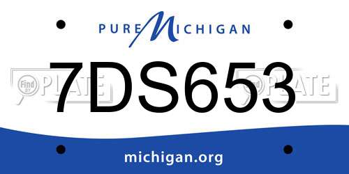 7DS653 Michigan License Plate