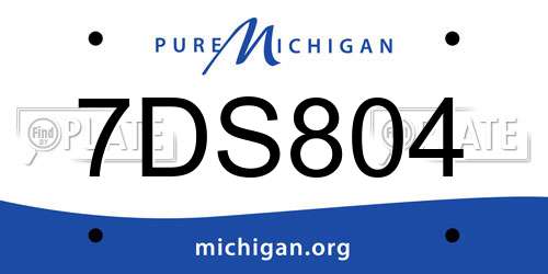 7DS804 Michigan License Plate