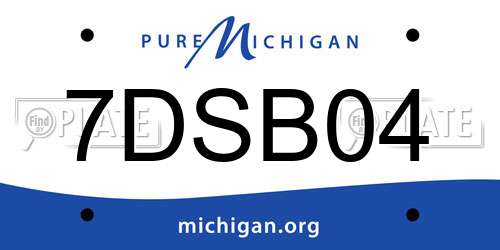 7DSB04 Michigan License Plate