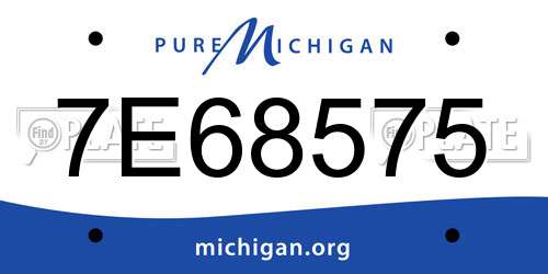 7E68575 Michigan License Plate