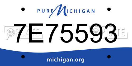 7E75593 Michigan License Plate
