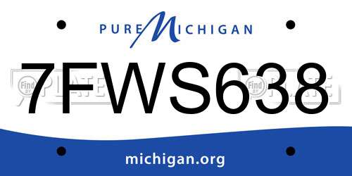 7FWS638 Michigan License Plate