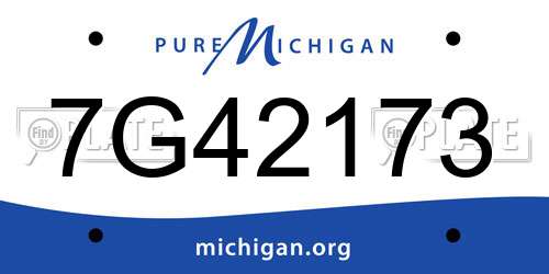 7G42173 Michigan License Plate