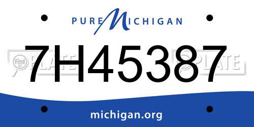 7H45387 Michigan License Plate