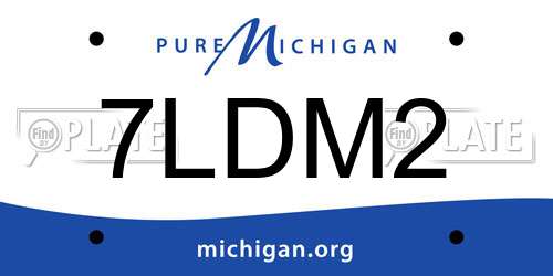 7LDM2 Michigan License Plate