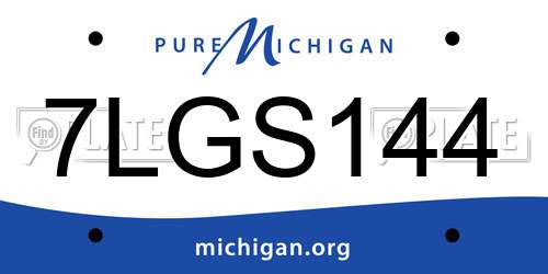 7LGS144 Michigan License Plate