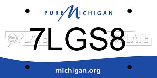 7LGS8 Michigan License Plate