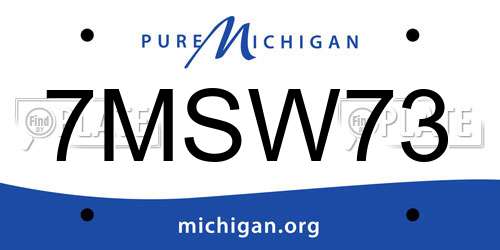 7MSW73 Michigan License Plate