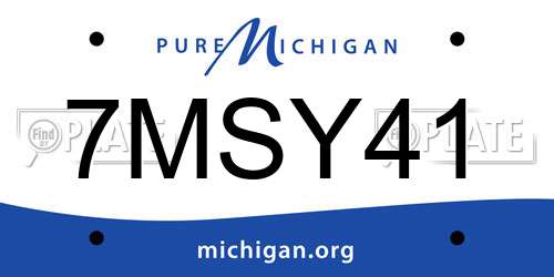 7MSY41 Michigan License Plate