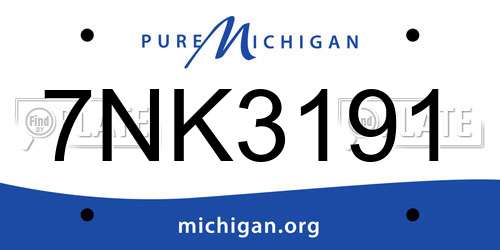 7NK3191 Michigan License Plate