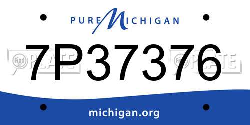 7P37376 Michigan License Plate