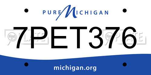 7PET376 Michigan License Plate