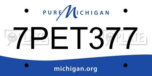 7PET377 Michigan License Plate