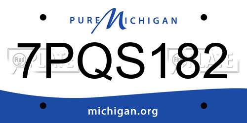 7PQS182 Michigan License Plate