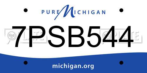 7PSB544 Michigan License Plate