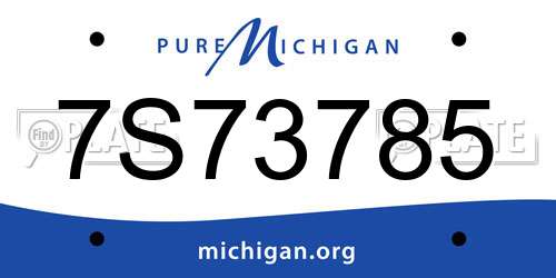 7S73785 Michigan License Plate