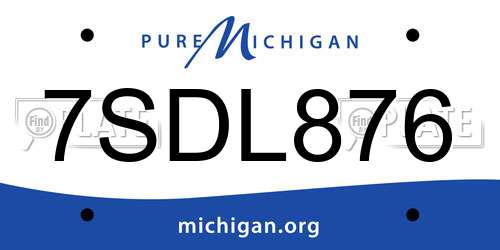 7SDL876 Michigan License Plate