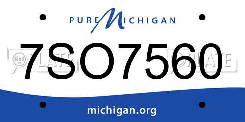7SO7560 Michigan License Plate