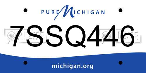 7SSQ446 Michigan License Plate