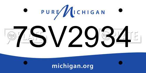 7SV2934 Michigan License Plate