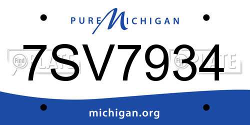 7SV7934 Michigan License Plate