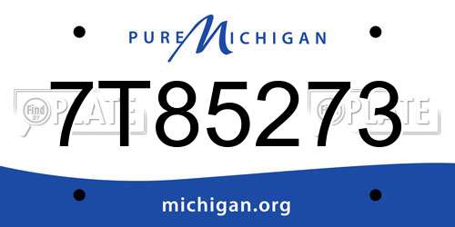 7T85273 Michigan License Plate