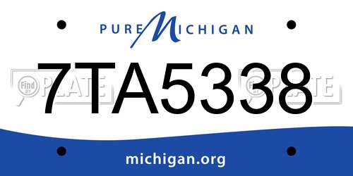 7TA5338 Michigan License Plate
