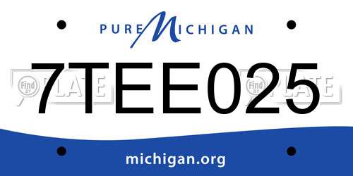 7TEE025 Michigan License Plate