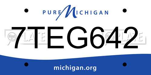 7TEG642 Michigan License Plate