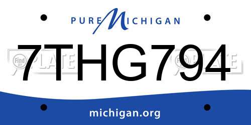 7THG794 Michigan License Plate