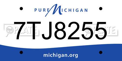 7TJ8255 Michigan License Plate