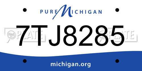 7TJ8285 Michigan License Plate