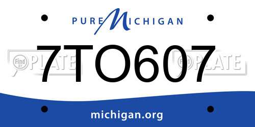 7TO607 Michigan License Plate