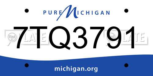 7TQ3791 Michigan License Plate