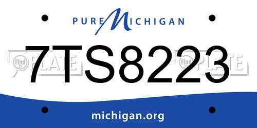 7TS8223 Michigan License Plate