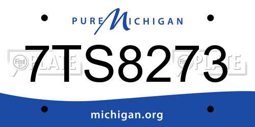 7TS8273 Michigan License Plate