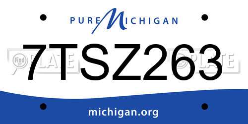 7TSZ263 Michigan License Plate