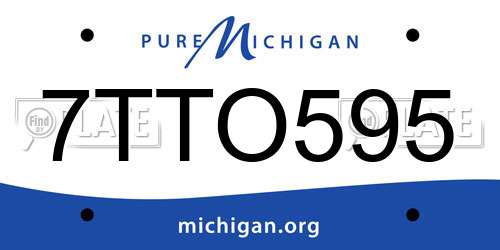 7TTO595 Michigan License Plate