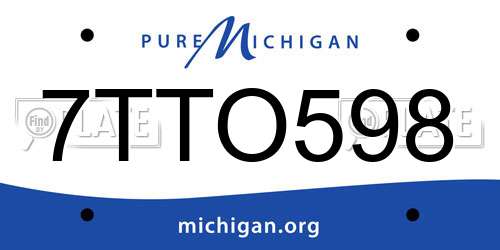 7TTO598 Michigan License Plate