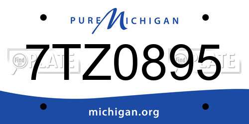 7TZ0895 Michigan License Plate
