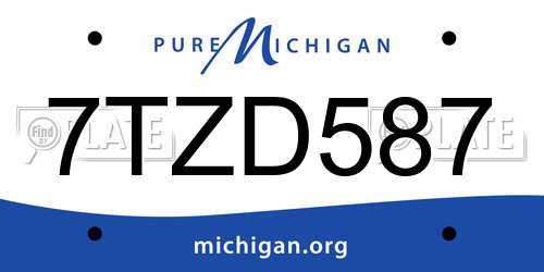 7TZD587 Michigan License Plate
