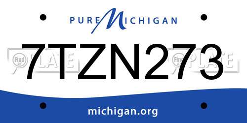 7TZN273 Michigan License Plate