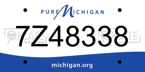 7Z48338 Michigan License Plate