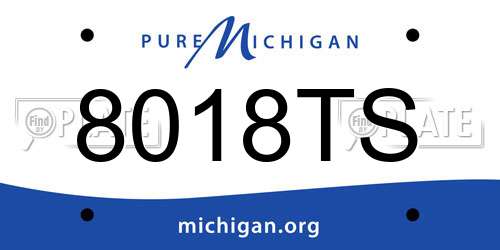 8018TS Michigan License Plate