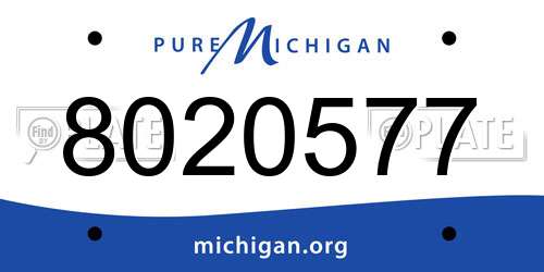 8020577 Michigan License Plate