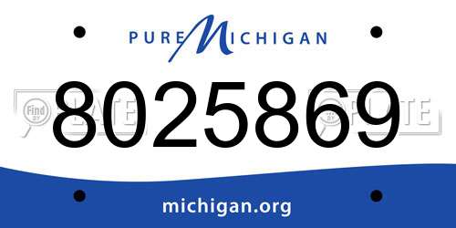 8025869 Michigan License Plate