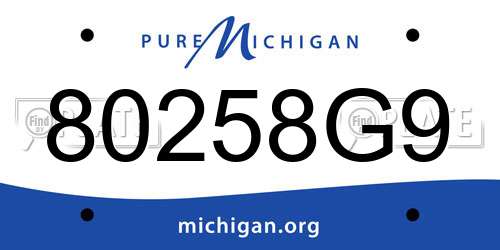 80258G9 Michigan License Plate