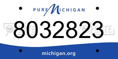 8032823 Michigan License Plate