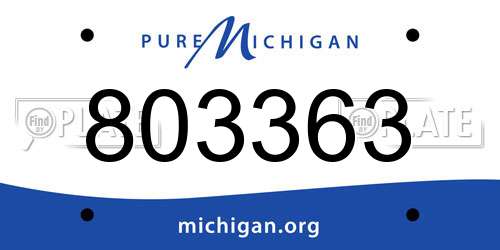 803363 Michigan License Plate