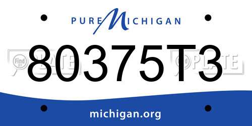 80375T3 Michigan License Plate